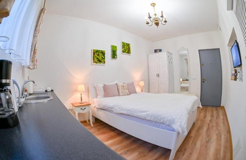 Center Apartamento | Transilvania Studio