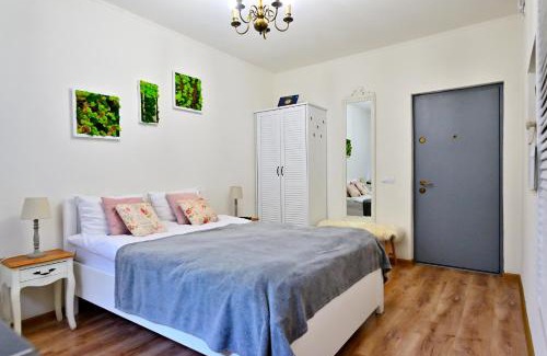 Center Apartamento | Transilvania Studio