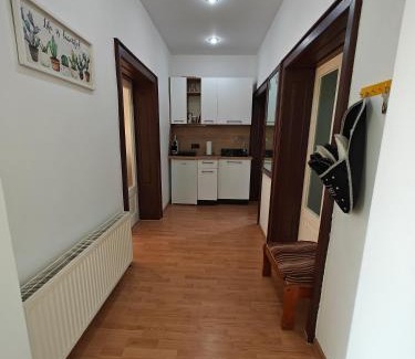 Center Apartamento | Transsylvanian Wolves Apartment