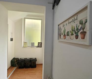 Center Apartamento | Transsylvanian Wolves Apartment