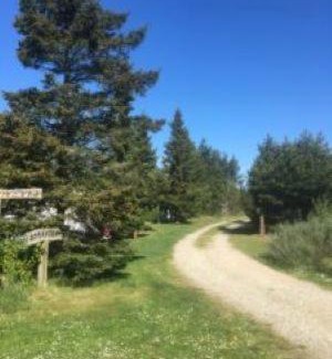 Brovst Otro | Tranum Klit Camping og Hytteudlejning