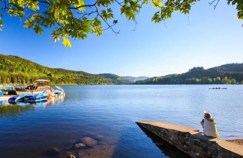 Schoenwald Apartamento | Traum-Maisonette auf 1.000m mit Pool und Sauna