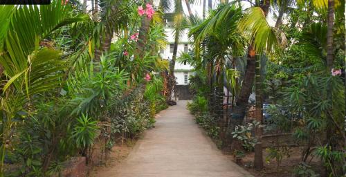 Murud-Harnai Otro | Travel Moody Beach touch Homestay & Campsite