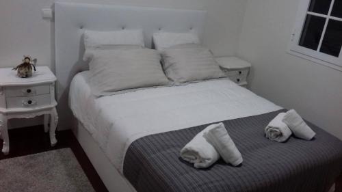 Machico Casa | Traveller's House