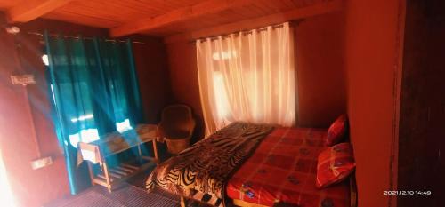 Kasol Casa | Travellers Hideout Cafe (THC)