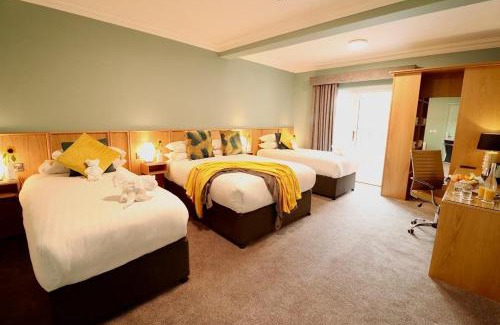Shannon Hotel | Treacys Oakwood Hotel, Shannon