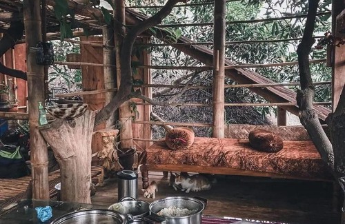 Bengaluru Hotel | Tree and Mud House