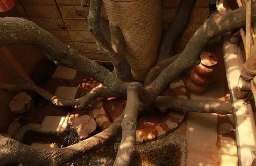 Bengaluru Hotel | Tree and Mud House