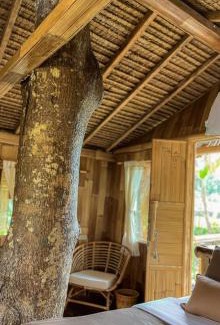 Sebatu Casa | Tree bamboo house