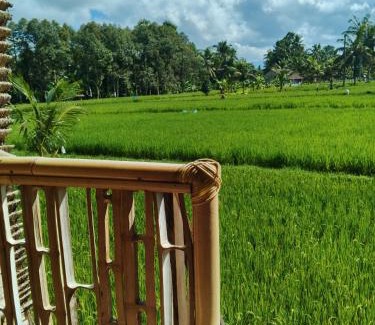 Sebatu Casa | Tree bamboo house