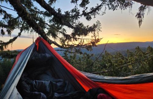West Stayton Cama Y Desayuno | Tree Climbing at Silver Falls