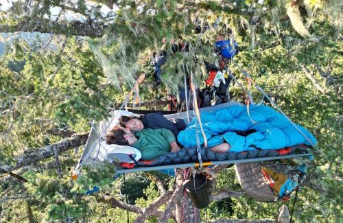 West Stayton Cama Y Desayuno | Tree Climbing at Silver Falls