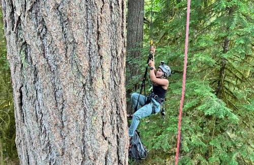 West Stayton Cama Y Desayuno | Tree Climbing at Silver Falls