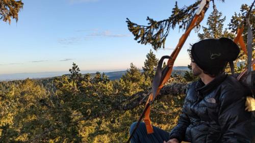 West Stayton Cama Y Desayuno | Tree Climbing at Silver Falls