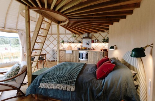 Godshill Otro | Tree Field Yurt at Moor Farm