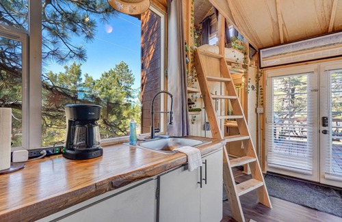 Larkspur Casa | Tree Fort Escape