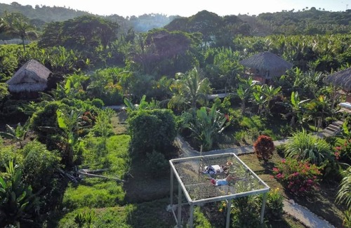 El Limon Casa | Tree house in the Dominican jungle