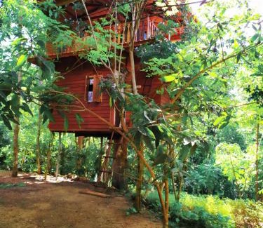 Ahangama Chalet De Esquí | Tree House-Midigama
