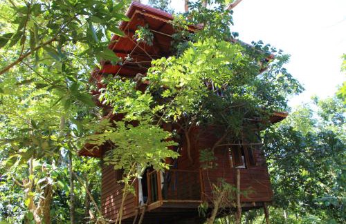Ahangama Chalet De Esquí | Tree House-Midigama