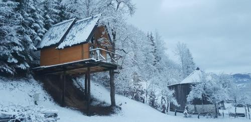Montenegro Chalet De Esquí | Tree house - Tara Place