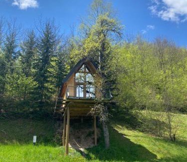Montenegro Chalet De Esquí | Tree house - Tara Place