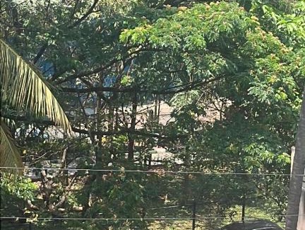 Bengaluru Apartamento | Tree Top