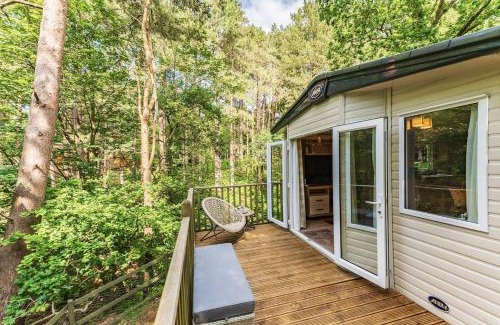 Weybourne Casa | Tree Tops - Norfolk Cottage Agency