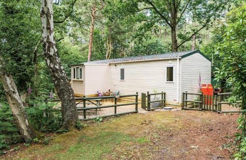 Weybourne Casa | Tree Tops - Norfolk Cottage Agency