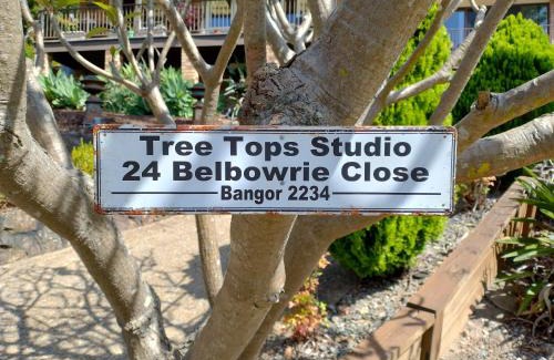 Bangor Casa | Tree Tops Studio Bangor