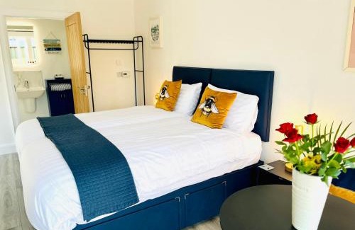 Ballycastle Cabina | Tree View Studio