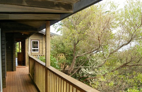 Tata Beach Cabaña | Treed - Golden Bay Bach (Playa Tata)