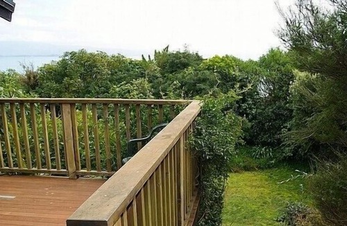 Tata Beach Cabaña | Treed - Golden Bay Bach (Playa Tata)