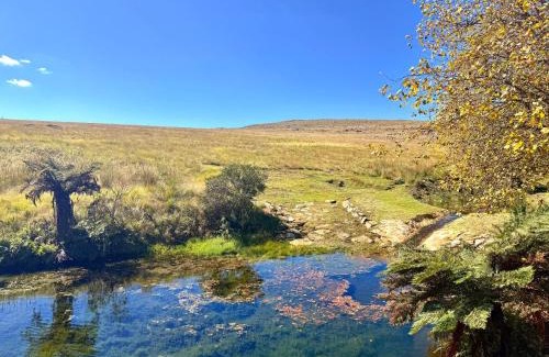 Emakhazeni Cabina | Treeferns Trout Lodge
