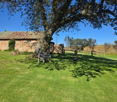 Emakhazeni Cabina | Treeferns Trout Lodge