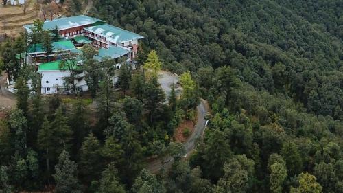 Shimla Complejo | TreeHouse Chail Villas
