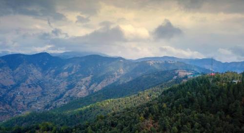 Shimla Complejo | TreeHouse Chail Villas