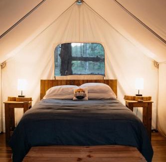 Branson Otro | Treehouse Cozy Glamping Site