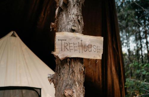 Branson Otro | Treehouse Cozy Glamping Site