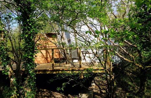 Clifden Cabina | Casa del árbol-Lujoso-Baño con ducha-Vista al bosque-Treehouse Dome
