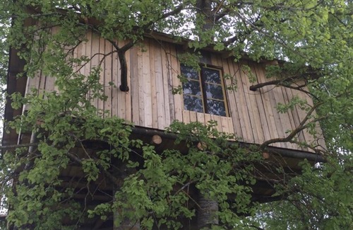 Avesta Casa | Treehouse Magpies Nest With Bubble Pool