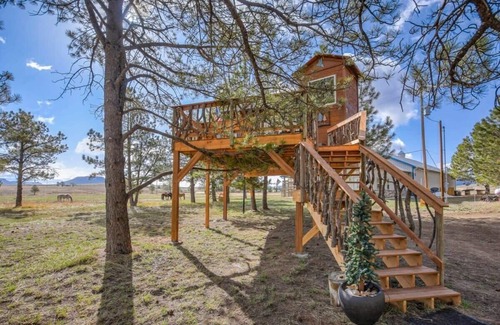 Larkspur Cabina | Treehouse Mountain Views Unique Ranch Experience