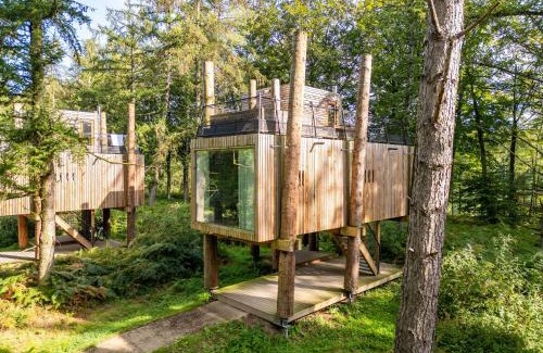 Maubray Casa | Treehouse near Tournai with Sauna Retreat