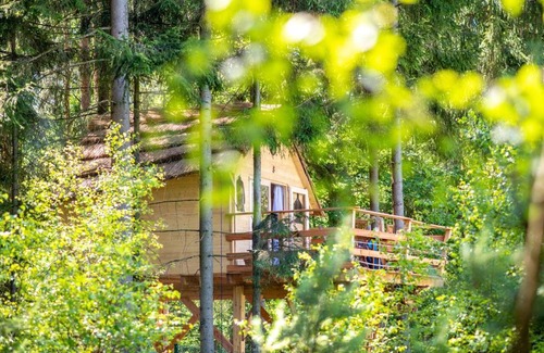 Osecna Otro | Treehouse U lesa
