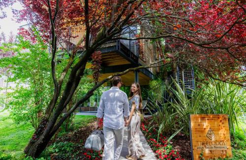 Riva del Garda Complejo | TreeLodgy, The Tree House