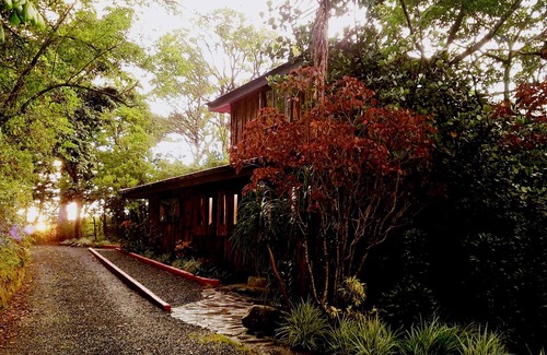 Monteverde Casa | Treetop House - Encanto artístico en el dosel de Monteverde