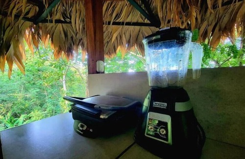 Cocles Casa | TreeTop Mansion, where the jungle meets the sea!