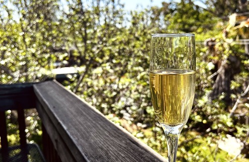 Roseville Apartamento | Treetop stay: private balcony, full kitchen