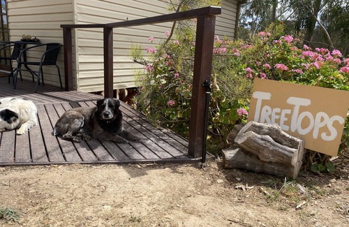 Kanmantoo Cabina | Treetops Cottage Farm Stay