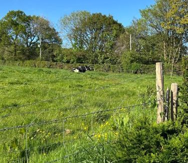 Callington Casa | Trelowen Cottage