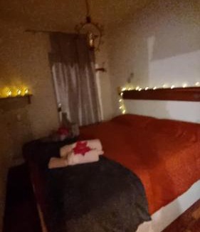 Norge Apartamento | Trento- Monte Bondone Appartamento tipico di montagna